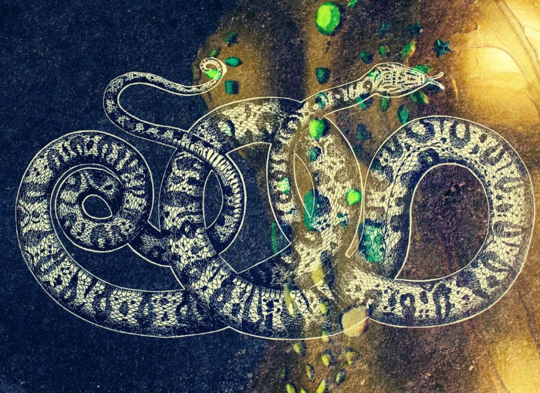 slangens år connecte 2025 2026-3