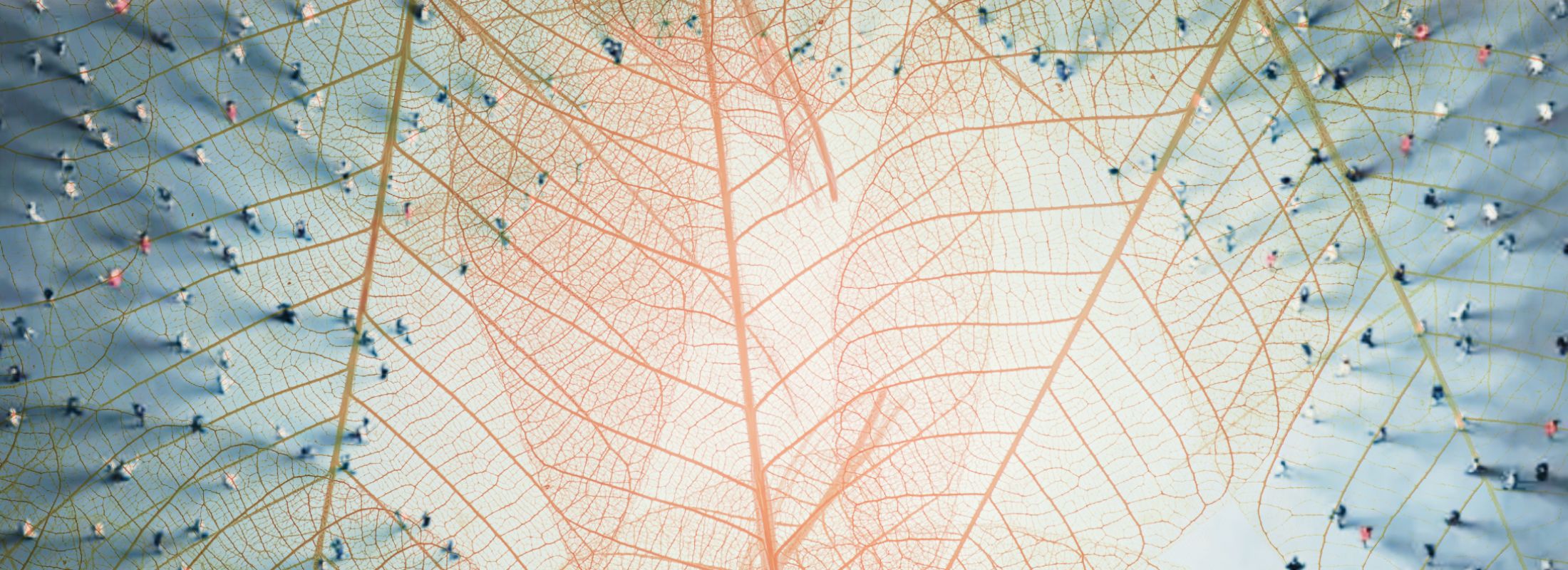 Universet i mellemrummet